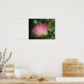 マモサ ポスター (キッチン)