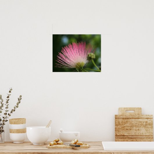 マモサ ポスター (キッチン)