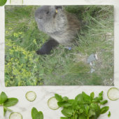 マモッツのキッチンタオル キッチンタオル (折り畳み)