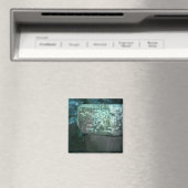 マヤファンシーン遺跡フォトデザイン冷蔵庫 マグネット (インサイチュ (食洗機))