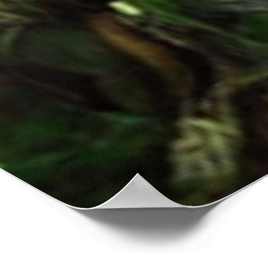 マヤ寺 ポスター (角)