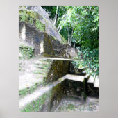 マヤ角 ポスター (正面)