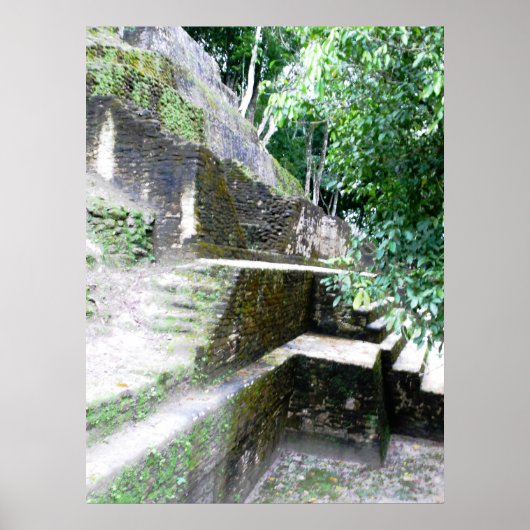 マヤ角 ポスター (正面)