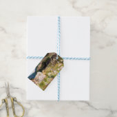 マヨルカのテラス庭園（サンティアゴ・ルシニョル著） ギフトタグ (より糸つき)