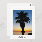 マヨルカパームツリーインザサンセット ポストカード (正面/裏面)