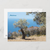 マヨルカポストカード ポストカード (正面/裏面)