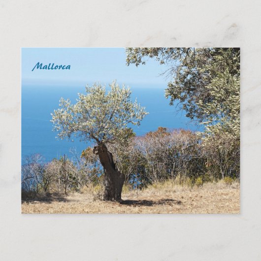 マヨルカポストカード ポストカード (正面)