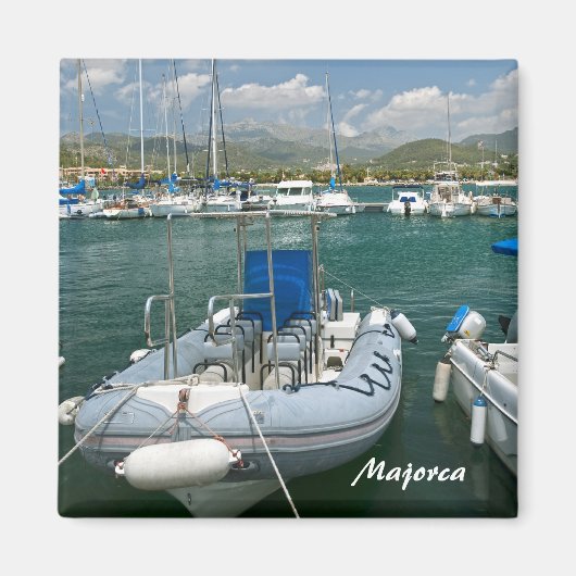 マヨルカ磁石 マグネット (正面)