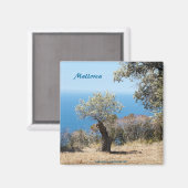 マヨルカ磁石 マグネット (正面/裏面)