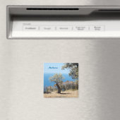 マヨルカ磁石 マグネット (インサイチュ (食洗機))