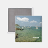 マヨルカ磁石 マグネット (正面/裏面)