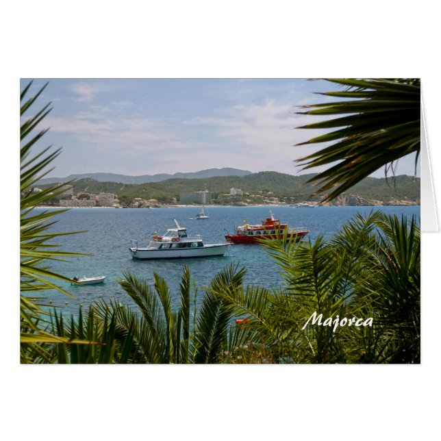 マヨルカ (正面横)