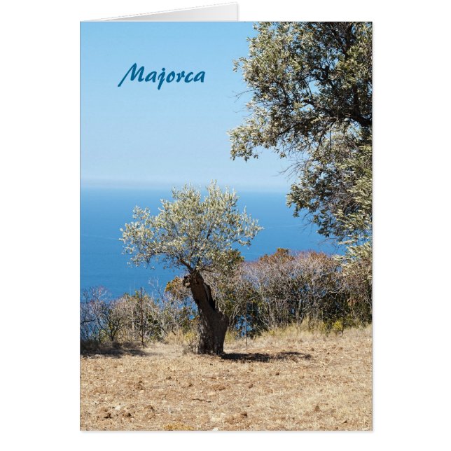 マヨルカ (正面)