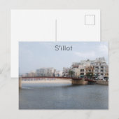 マヨルカ・シロ ポストカード (正面/裏面)