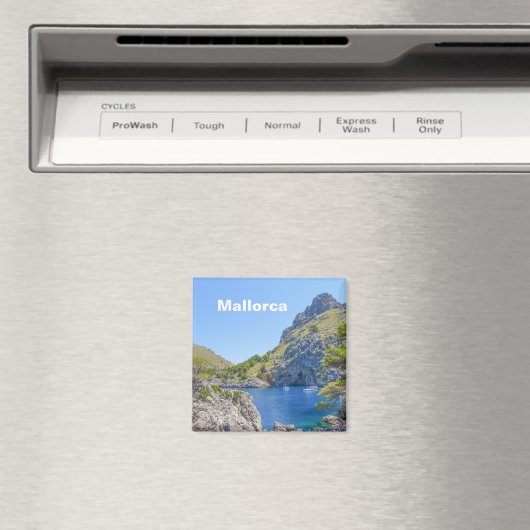 マヨルカ,スペインSa Calobraお土産 マグネット (インサイチュ (食洗機))