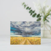 マラの嵐2012年 ポストカード (スタンド正面)