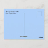 マラウイのMvuuキャンプでボラススエティオウムパーム ポストカード (裏面)