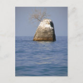 マラウイ湖 ポストカード (正面)