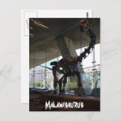 マラウザウルス ポストカード (正面/裏面)