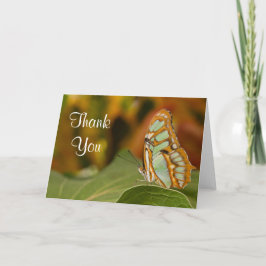マラカイトの蝶サンキューカード サンキューカード