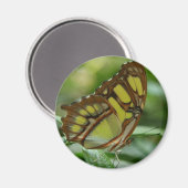 マラカイトバタフライラウンドマグネット マグネット (正面/裏面)