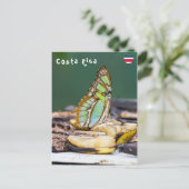 マラカイトバタフライ – コスタリカ ポストカード (スタンド正面)