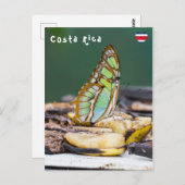 マラカイトバタフライ – コスタリカ ポストカード (正面/裏面)