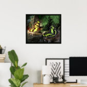 マラカイト蝶1プリント-24x20 – または小さい ポスター (ホームオフィス)