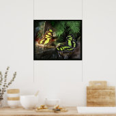 マラカイト蝶1プリント-24x20 – または小さい ポスター (キッチン)