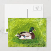 マラカスタムード絵画ダック葉書の ポストカード (正面/裏面)