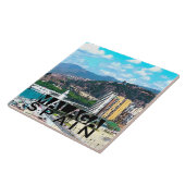 マラガ タイル (側面)