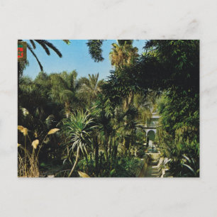 マラケシュのMajorelleの庭、モロッコ ポストカード