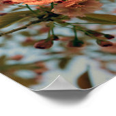 マラスブランディワインクラッパーツリー春ピンク開花 ポスター (角)