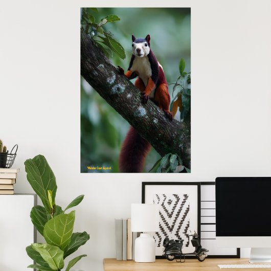 マラバーの巨大リス ポスター (ホームオフィス)