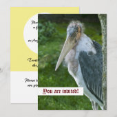 マラブー カスタム インビテーション (正面/裏面)