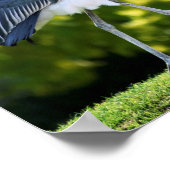 マラボストーク歩くオングラス ポスター (角)