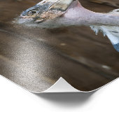 マラボストーク フォトプリント            (角)