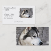 マラミュートの名刺 名刺 (正面/裏面)