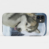 マラミュートのiPhone6ケース Case-Mate iPhoneケース (裏面(横))