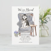 マラムテドッグ |お知らせ 案内状 (スタンド正面)