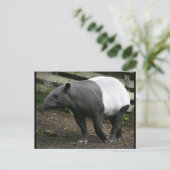 マラヤタピールポストカード ポストカード (スタンド正面)