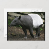 マラヤタピールポストカード ポストカード (正面/裏面)