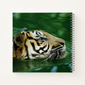 マラヤンタイガーのヘッドショット ノートブック (裏面)