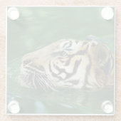 マラヤンタイガー顔スイミング ガラスコースター (裏面)