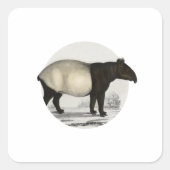 マラヤンタピール – ヴィンテージ哺乳動物 スクエアシール (正面)