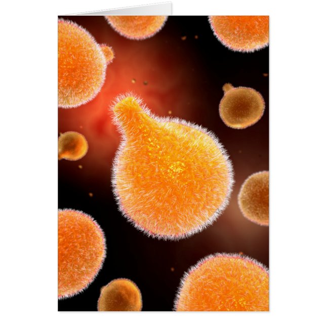 マラリアを引き起こすマラリア原虫概念像3 (正面)