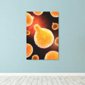 マラリアを引き起こすマラリア原虫概念像3 キャンバスプリント (インサイチュ (ウッドフロア))