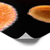 マラリアを引き起こすマラリア原虫概念像3 ポスター (角)