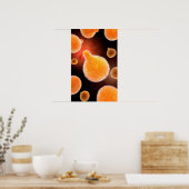 マラリアを引き起こすマラリア原虫概念像3 ポスター (キッチン)