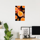 マラリアを引き起こすマラリア原虫概念像3 ポスター (ホームオフィス)